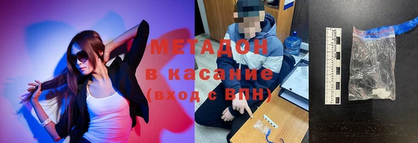 прущие грибы Алексеевка