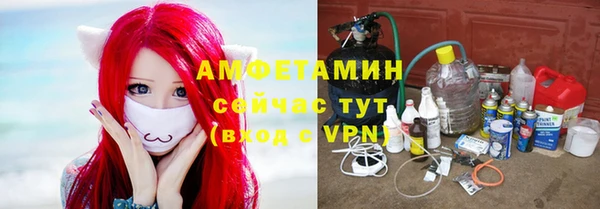 прущие грибы Алзамай