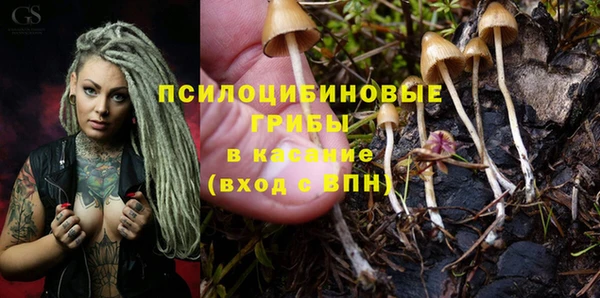 прущие грибы Алексеевка