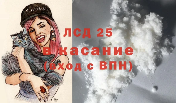 прущие грибы Алзамай