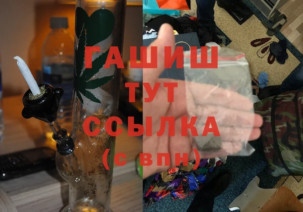 прущие грибы Алзамай