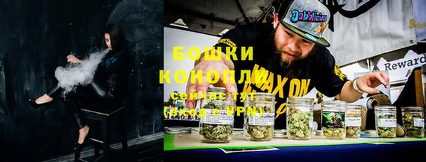 прущие грибы Алексеевка